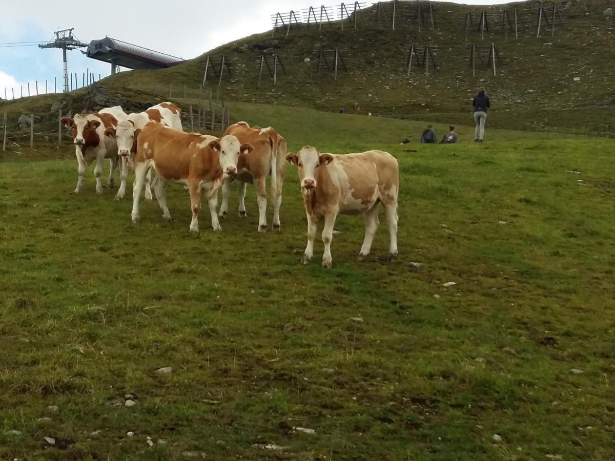 Ferienwohnungen Behamhof Neukirchen am Großvenediger المظهر الخارجي الصورة